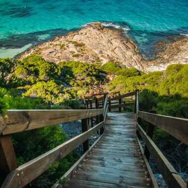 New Day - Laid Back Beat