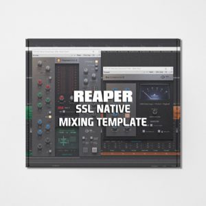 Reaper Mixing Template