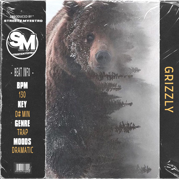 Grizzly - Trap Type Beat